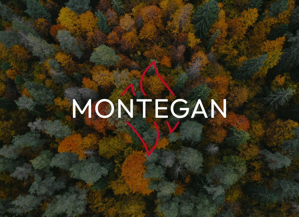 Brand Identity e catalogo Montegan